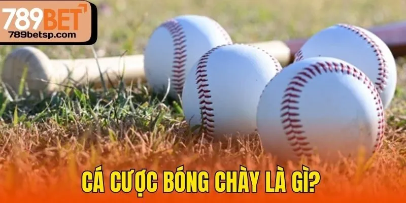 Cá cược bóng chày là gì?
