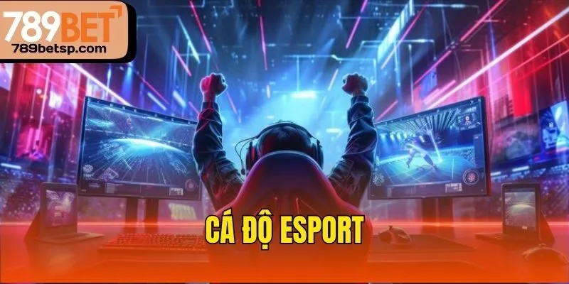 Cá độ Esport

