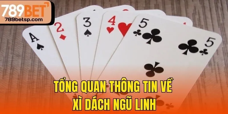 Tổng quan thông tin về Xì Dách Ngũ Linh